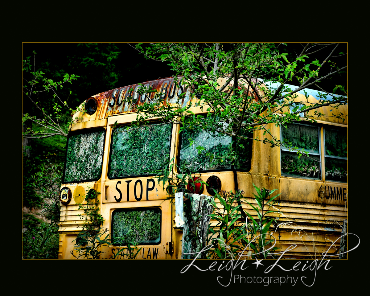 Bus with Plant Growing Inside