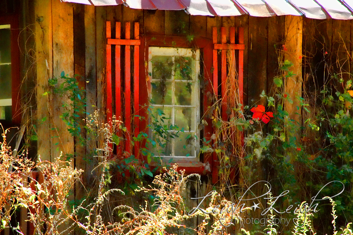 window with shutters