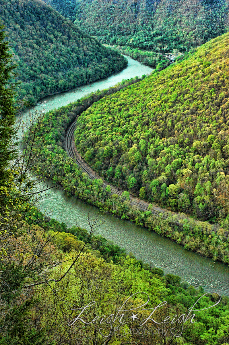 budding trees on mountainside by river