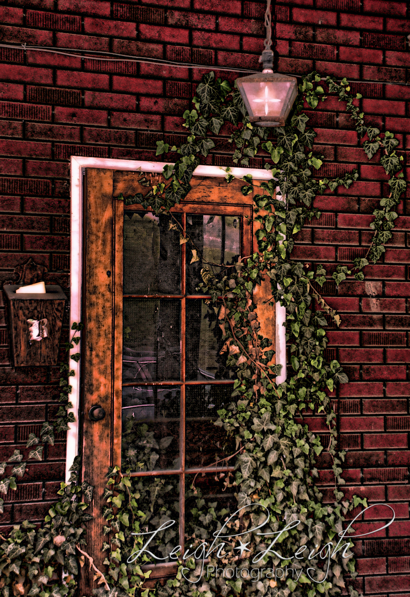 front door of house covered in ivy