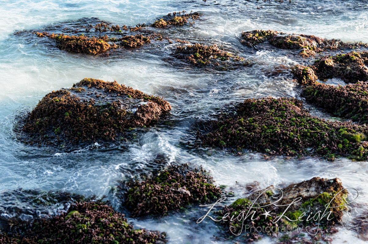 rocks on beach