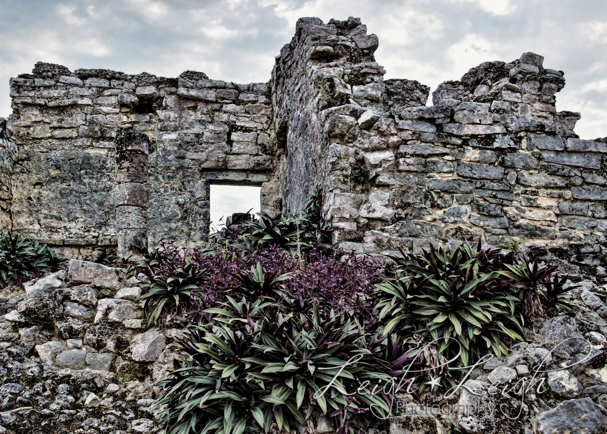 Mayan Ruins at Tulum 