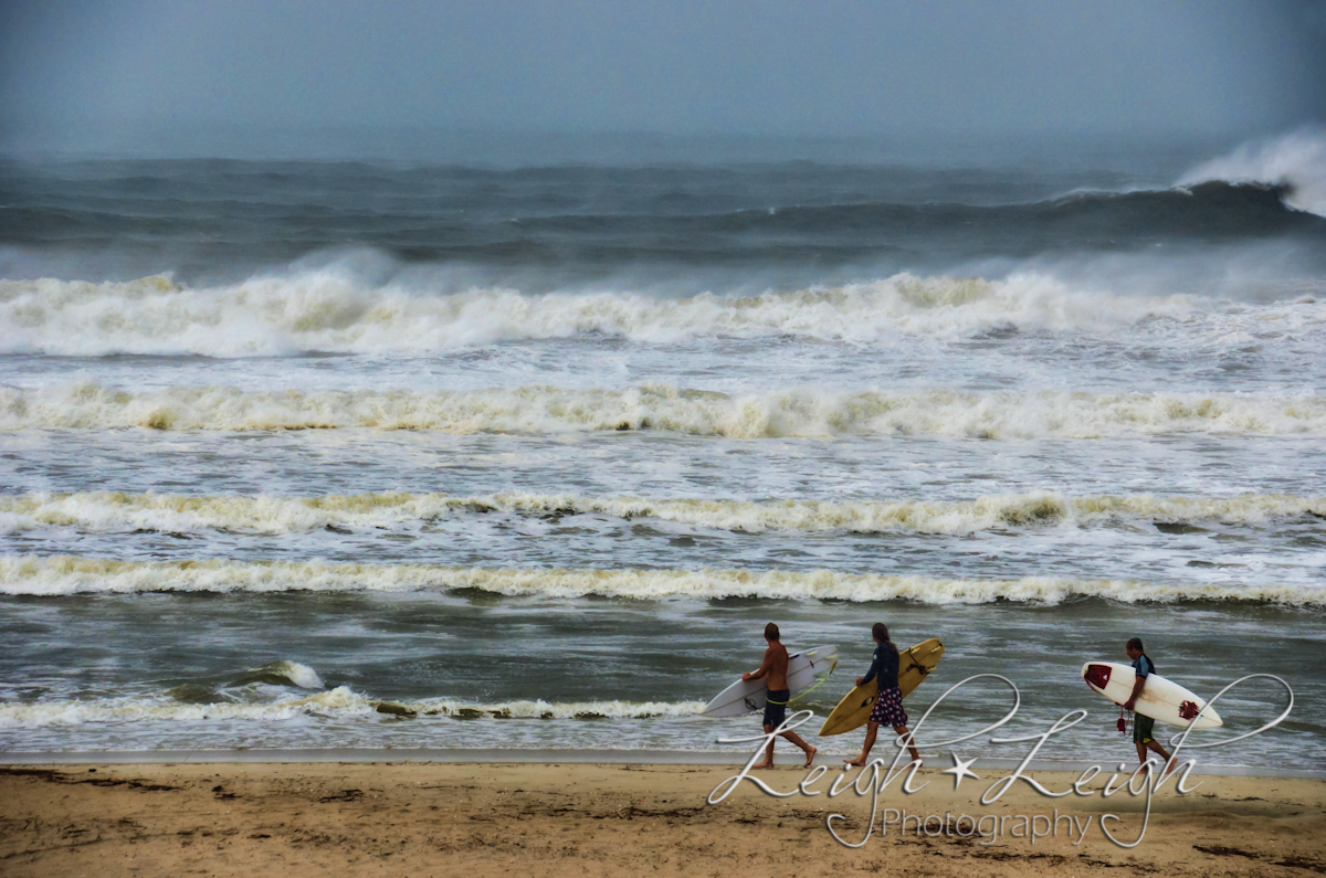 surfers walking on beach