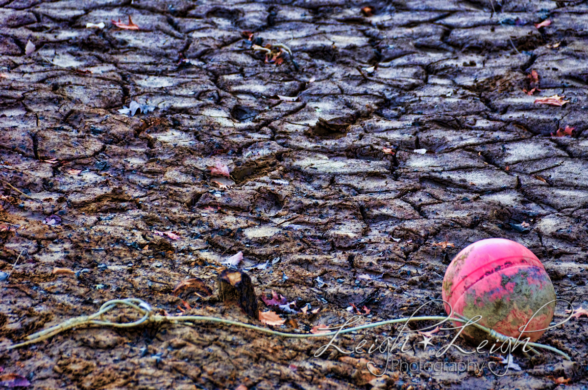 dried mud and buoy