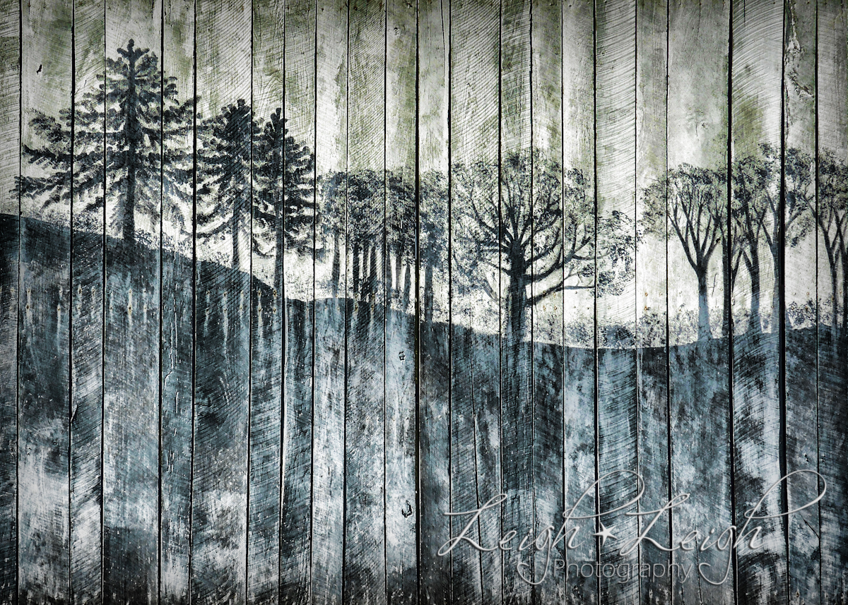 painting of trees on side of barn