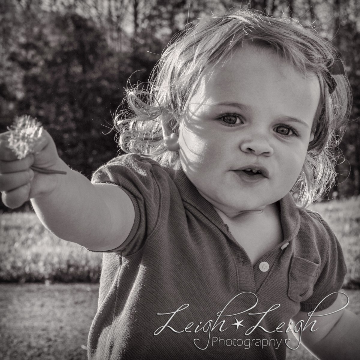 toddler with dandelion 