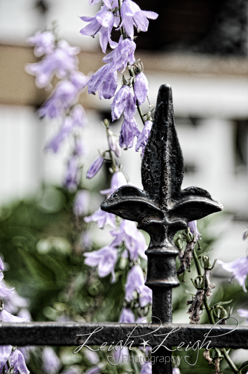 wrought iron fence