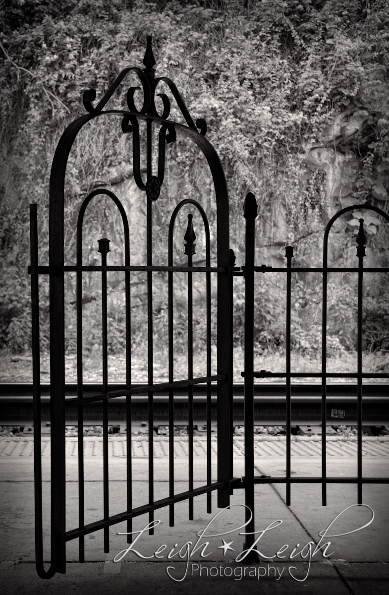 wrought iron fence with gate