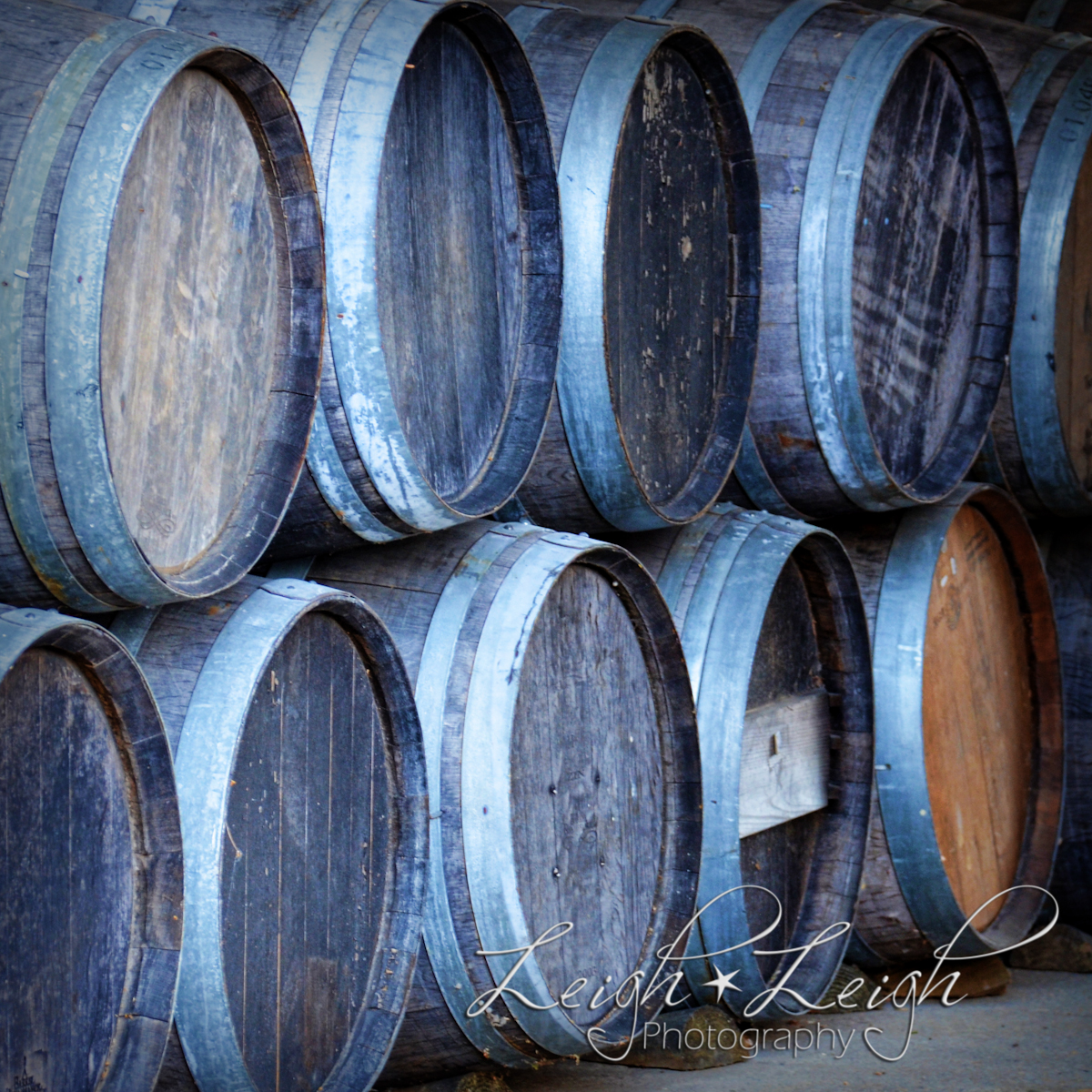 wine barrels 