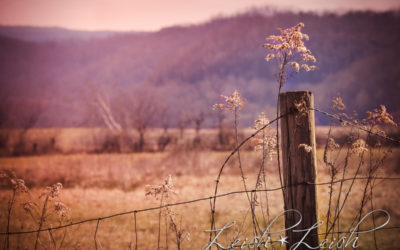 Blue Sulphur Springs & Beyond…