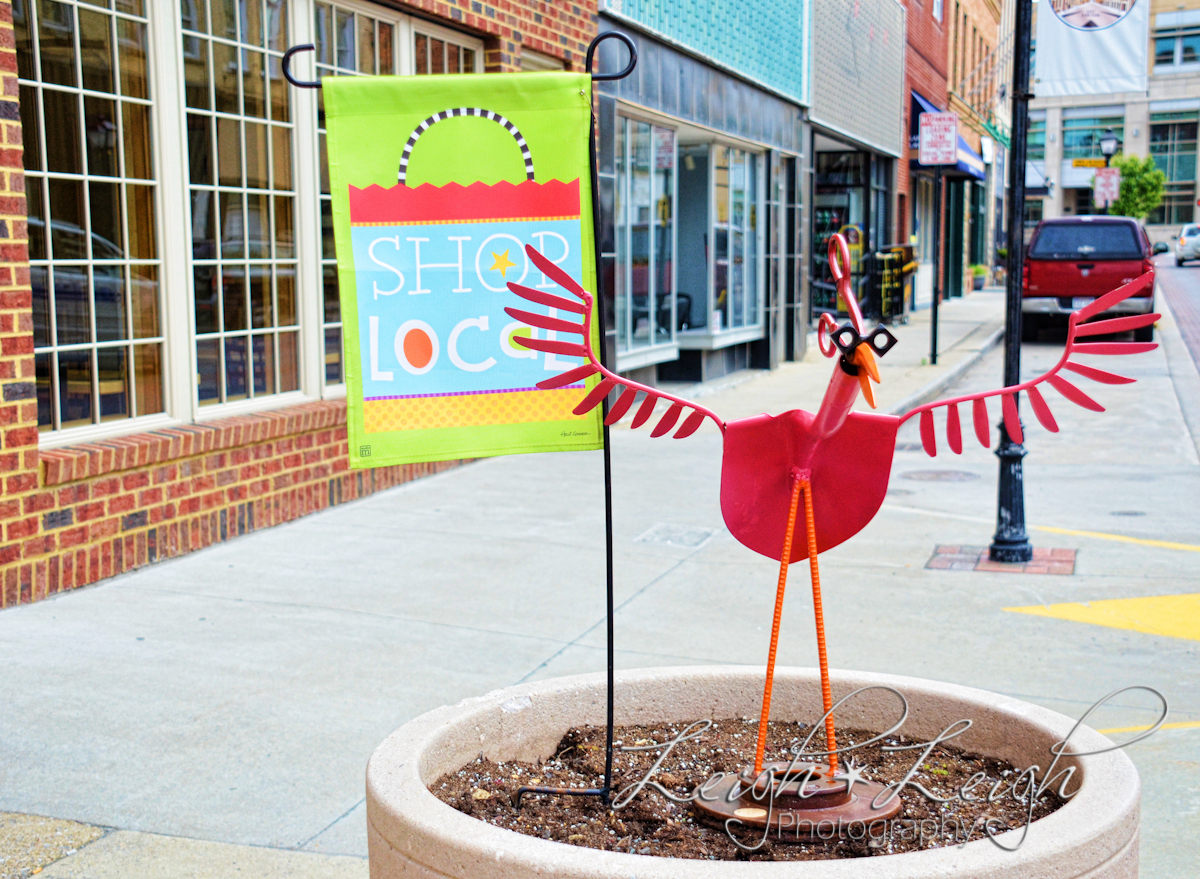 shop local flag and sculpture