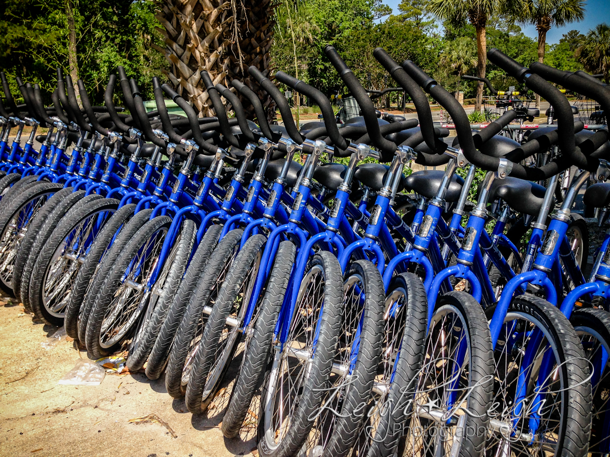 row of bikes