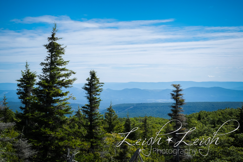 Dolly Sods