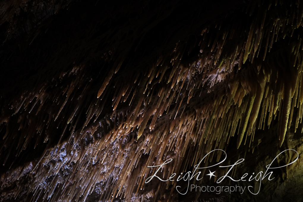 stalactites on cave celling