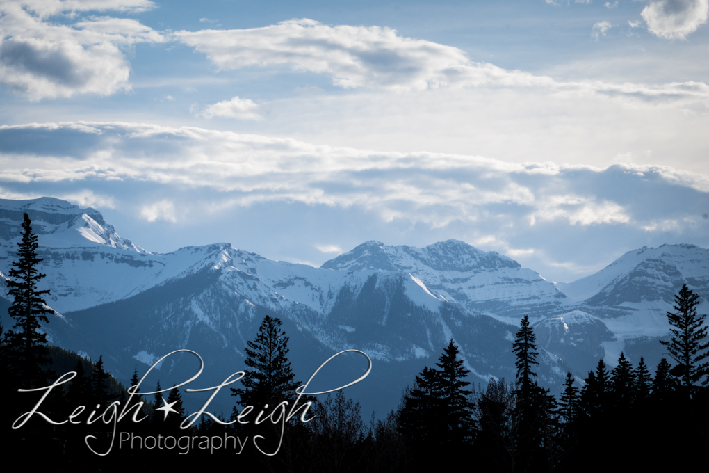 mountains and trees in Canada