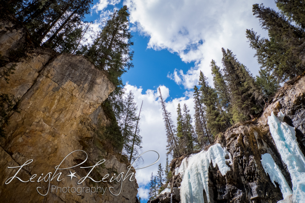 Johnston Canyon Trail