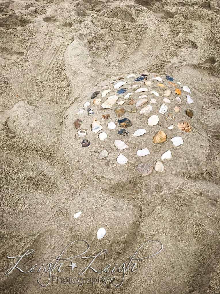 turtle made from sand, on the beach