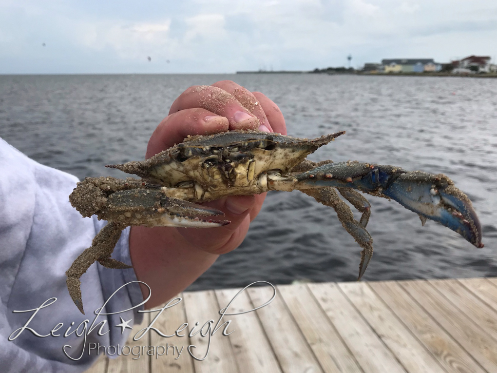 man holding a blue crab that he caught fishing