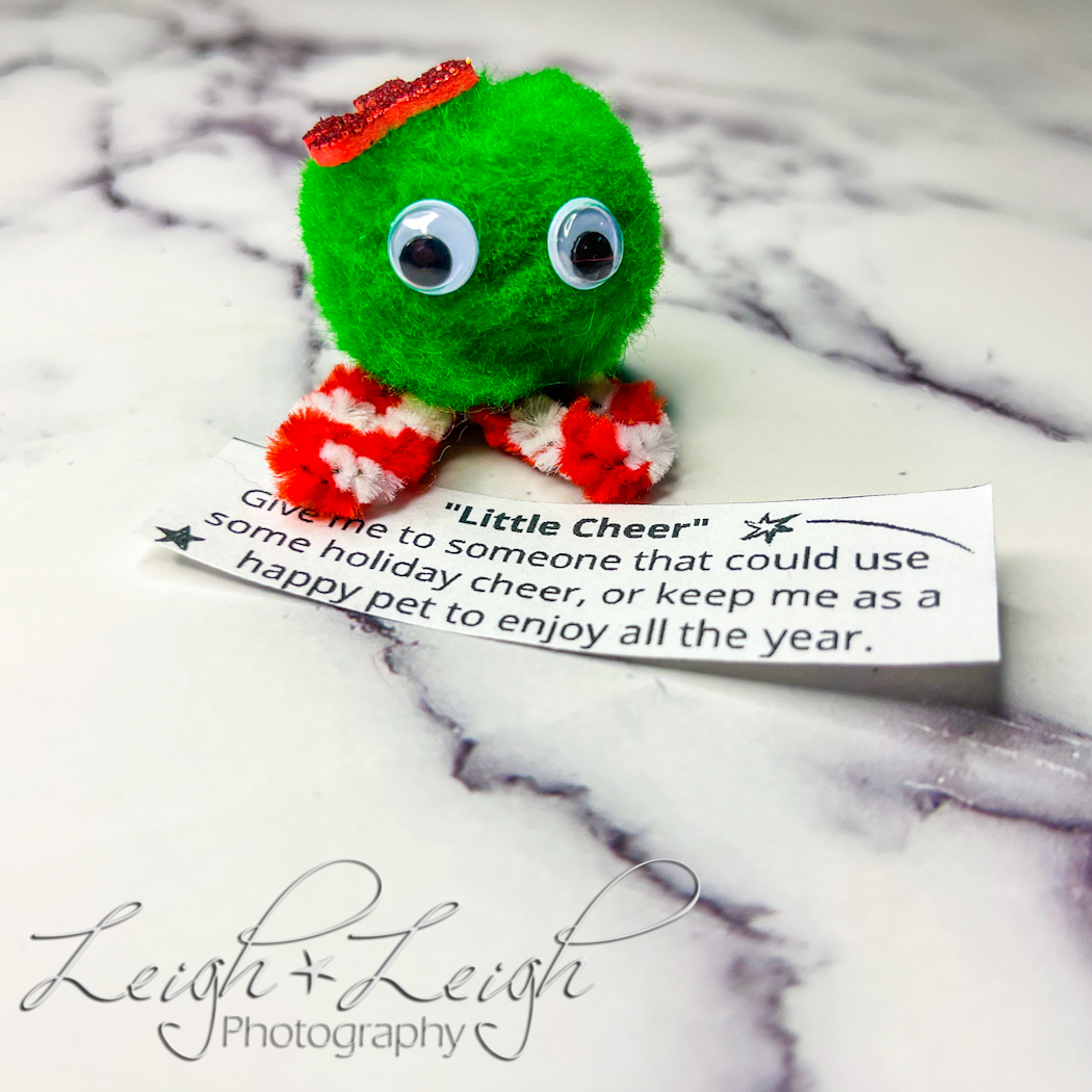 Little Cheer Pom Pom Craft