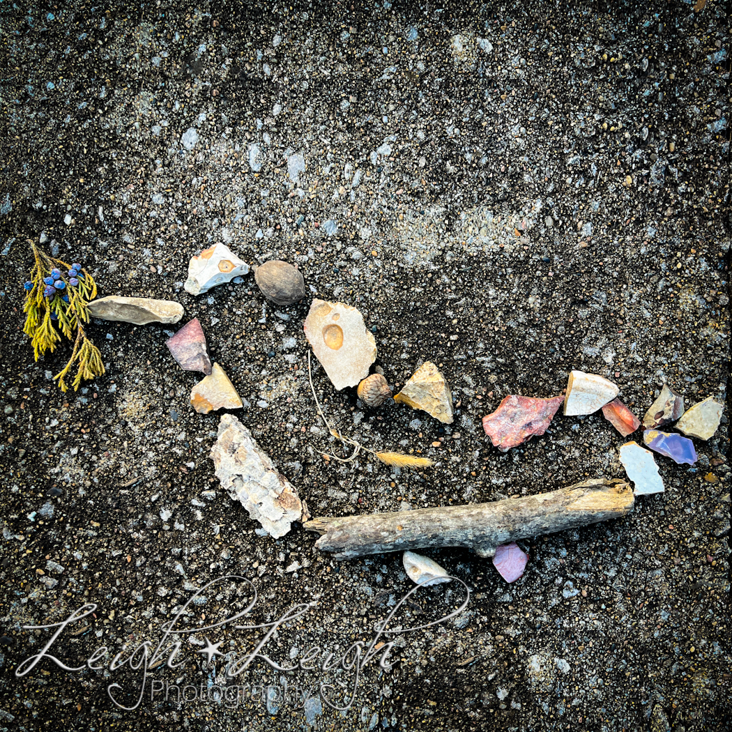 found art: outline of bird created with rocks and natural objects