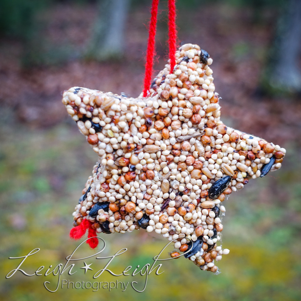 birdseed ornament 