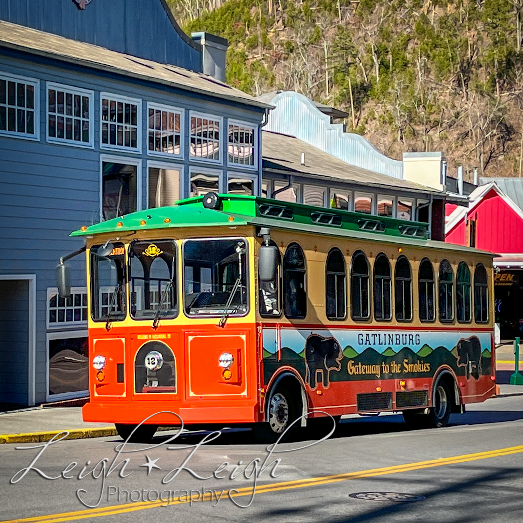 trolley bus