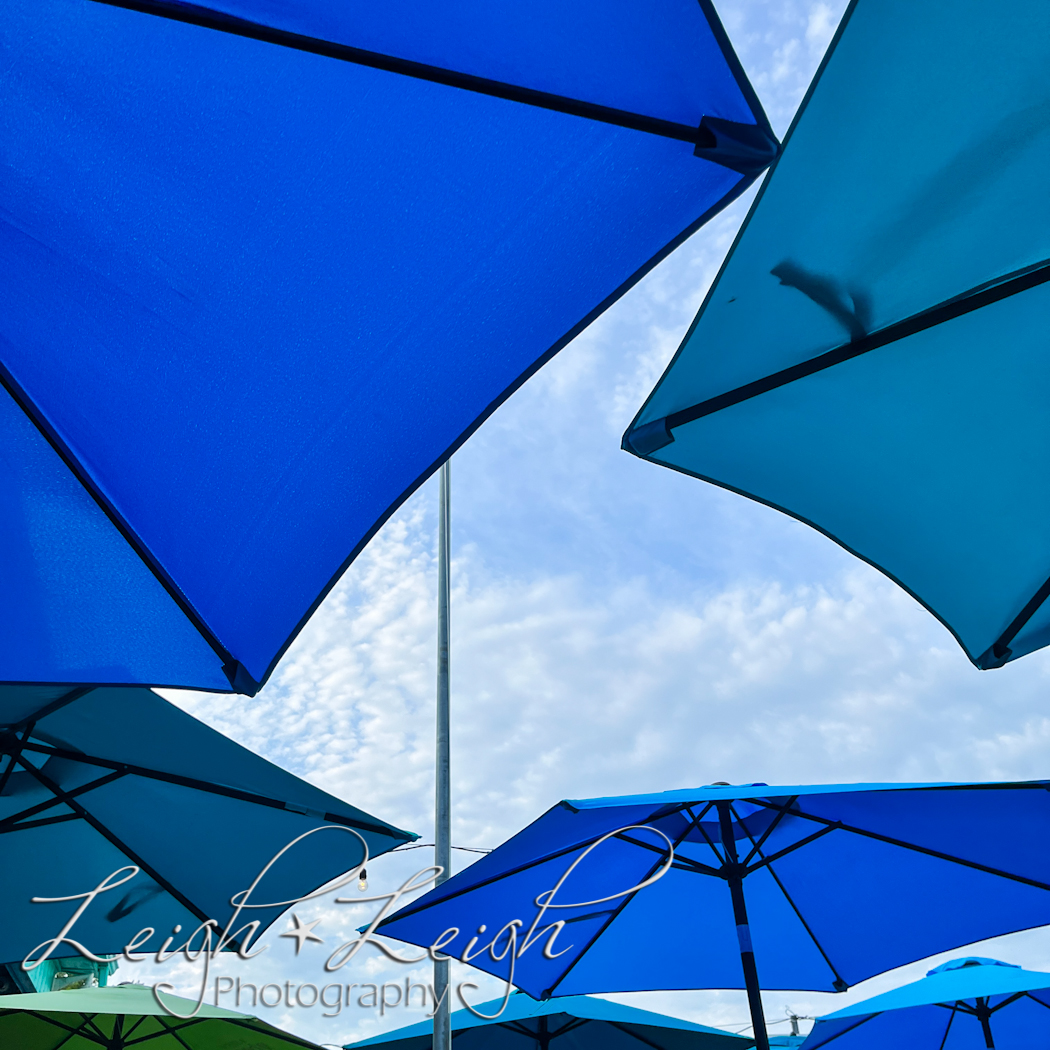 umbrellas 