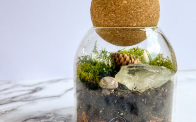 Build a Mini Moss Manor (a.k.a. Terrarium)