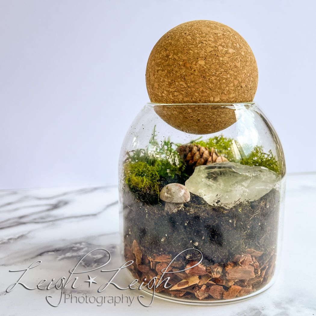 terrarium in a jar with round cork