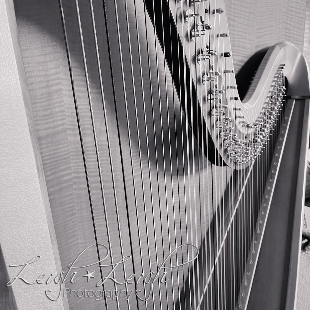 harp leaning against wall in lounge 