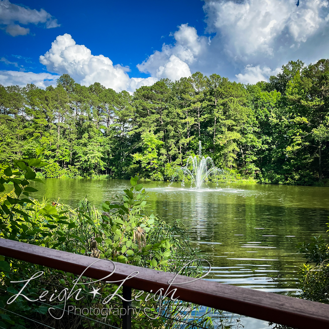 image of fountain in lake