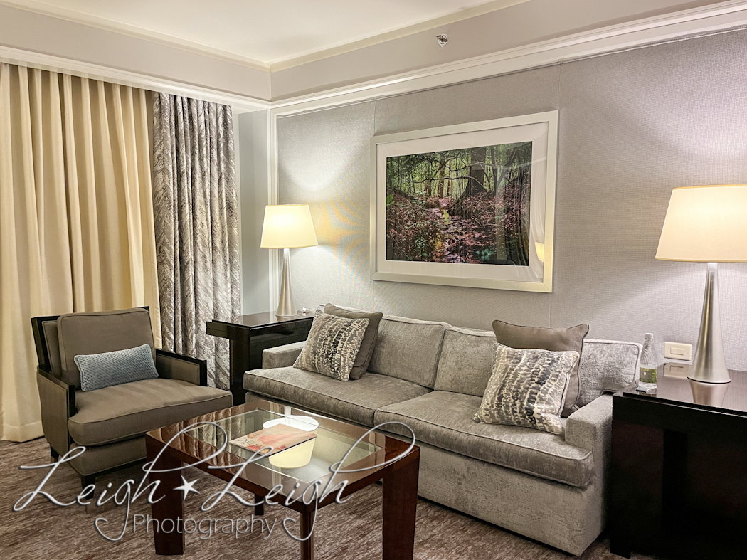 couch and sitting area in hotel suite