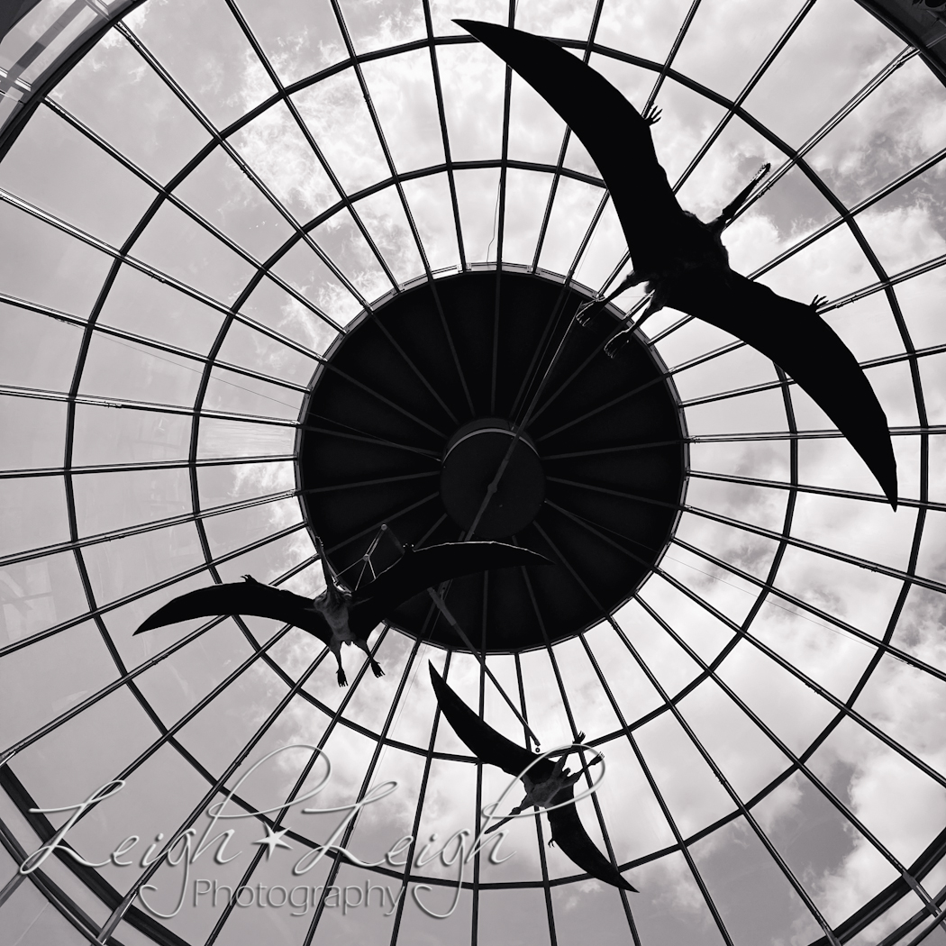 glass ceiling in science museum with spinning pterodactyls on huge mobile 