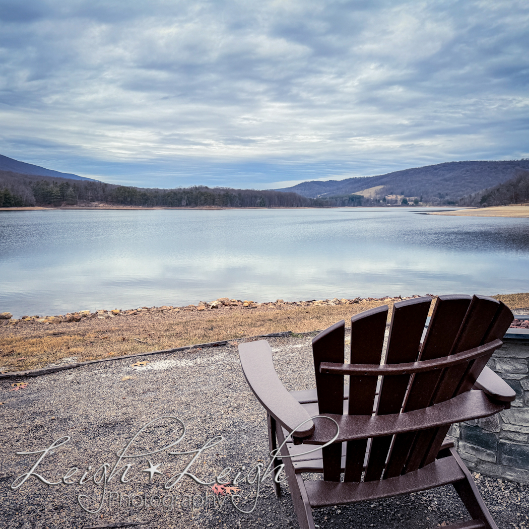 lake view with chair