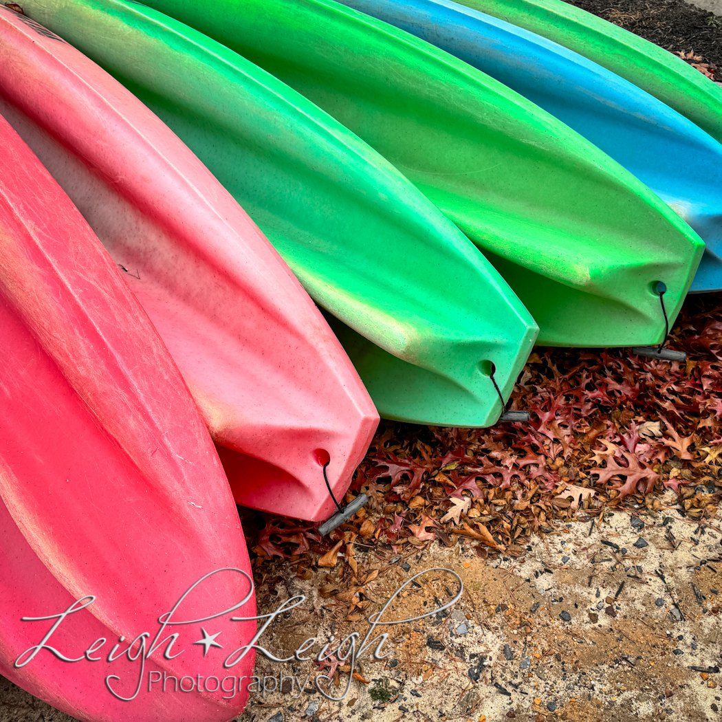 kayaks lined up on shore