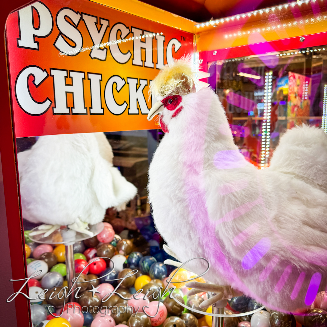 psychic chicken at arcade 
