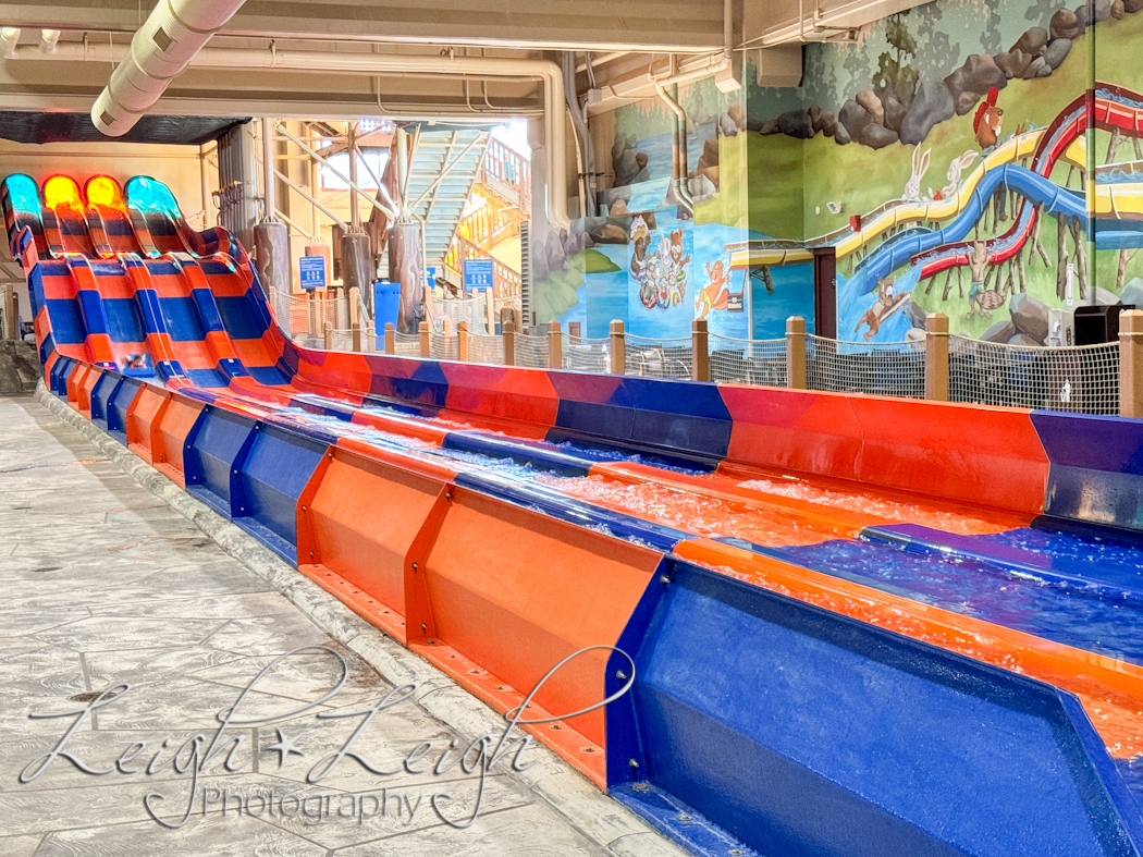 racing slides at Wiley’s Waterpark
