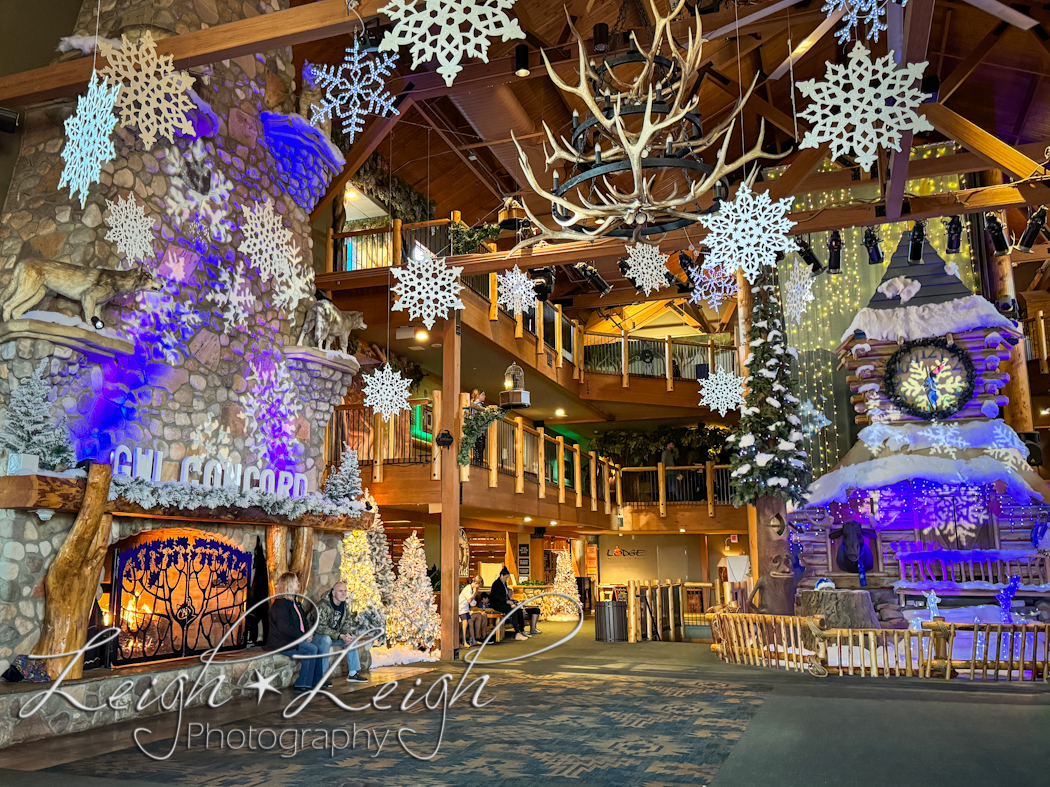 image of lobby at Great Wolf Lodge