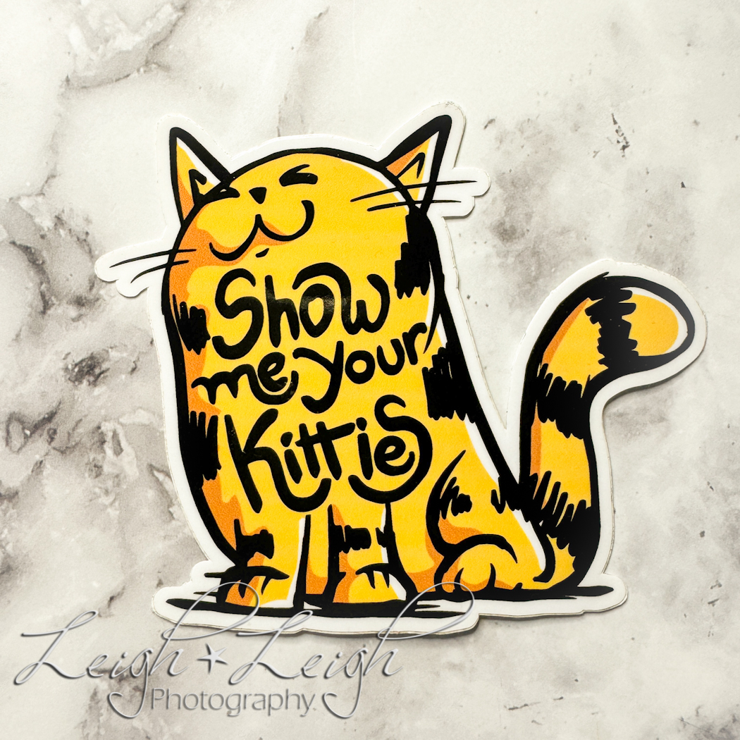 kitty sticker