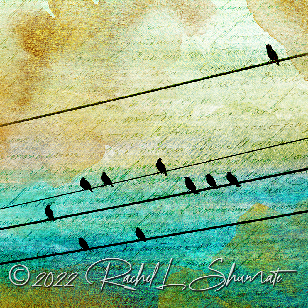 art print of birds on a wire 