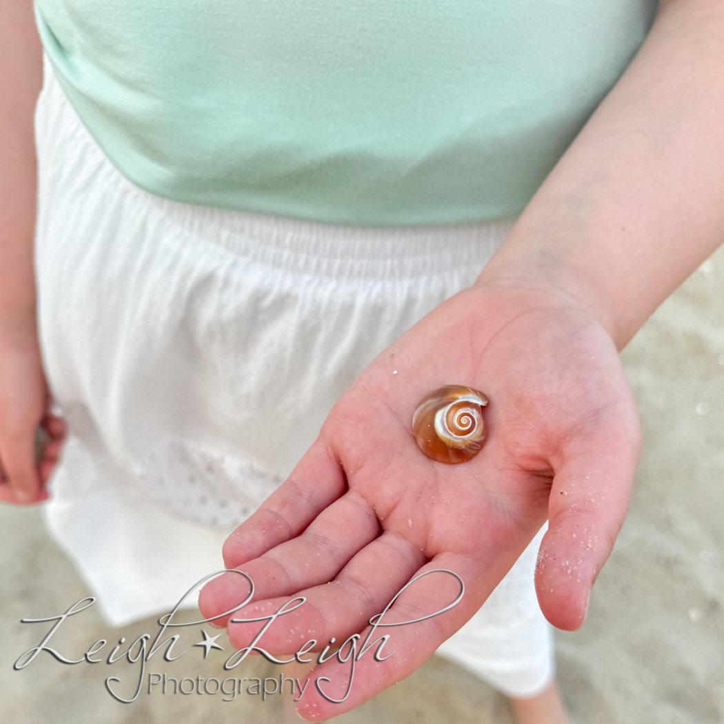 child's hand holding a seashell