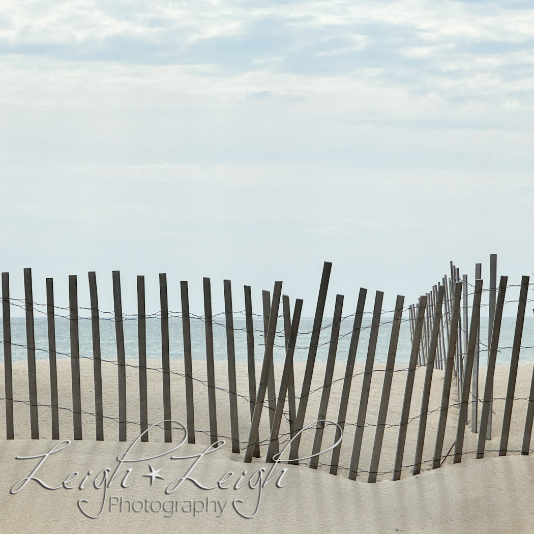 fence on dune with ocean in background