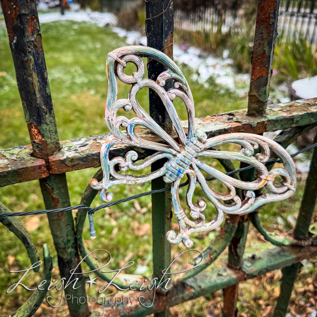 butterfly decoration on iron fence