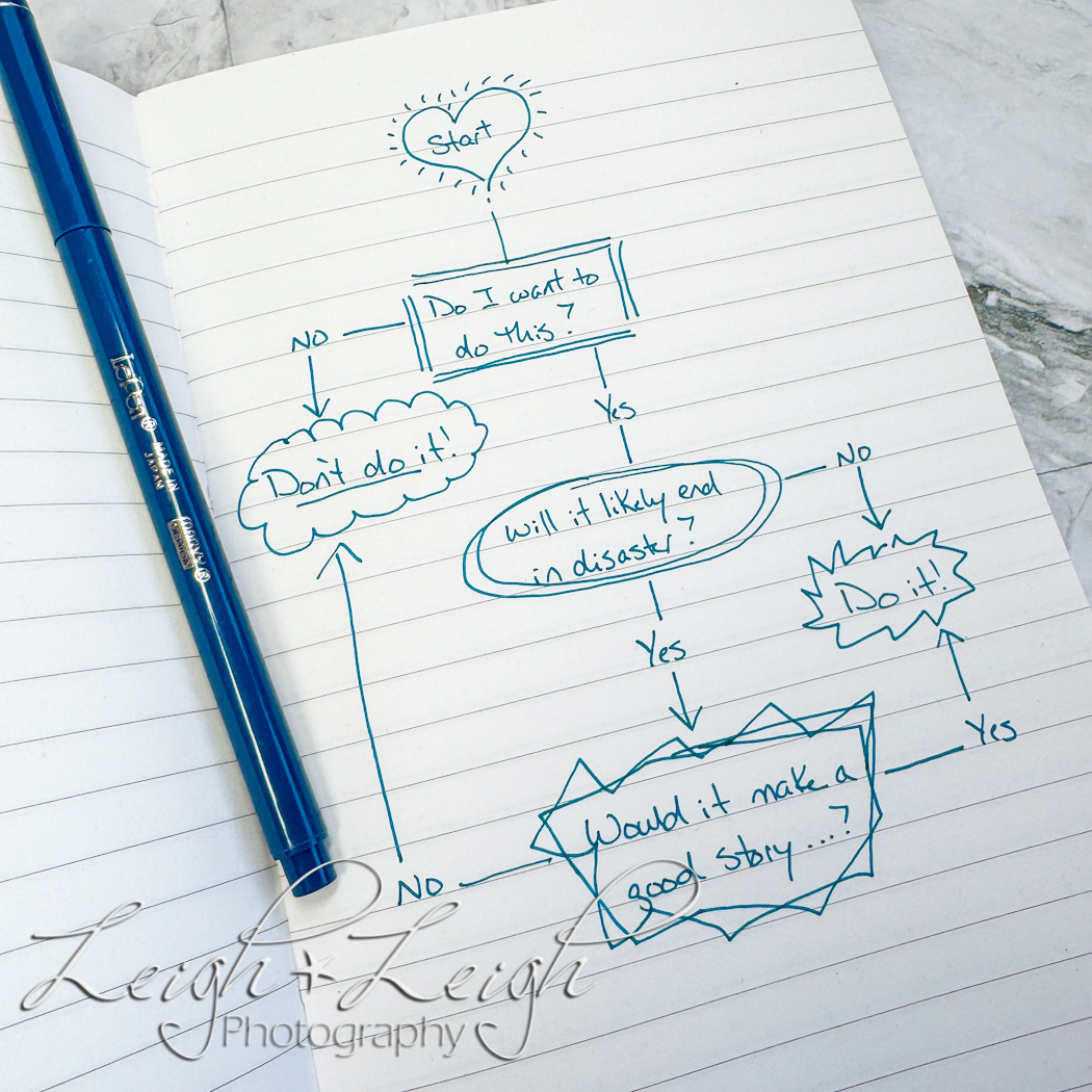 Journal page with funny flow chart about decisions 